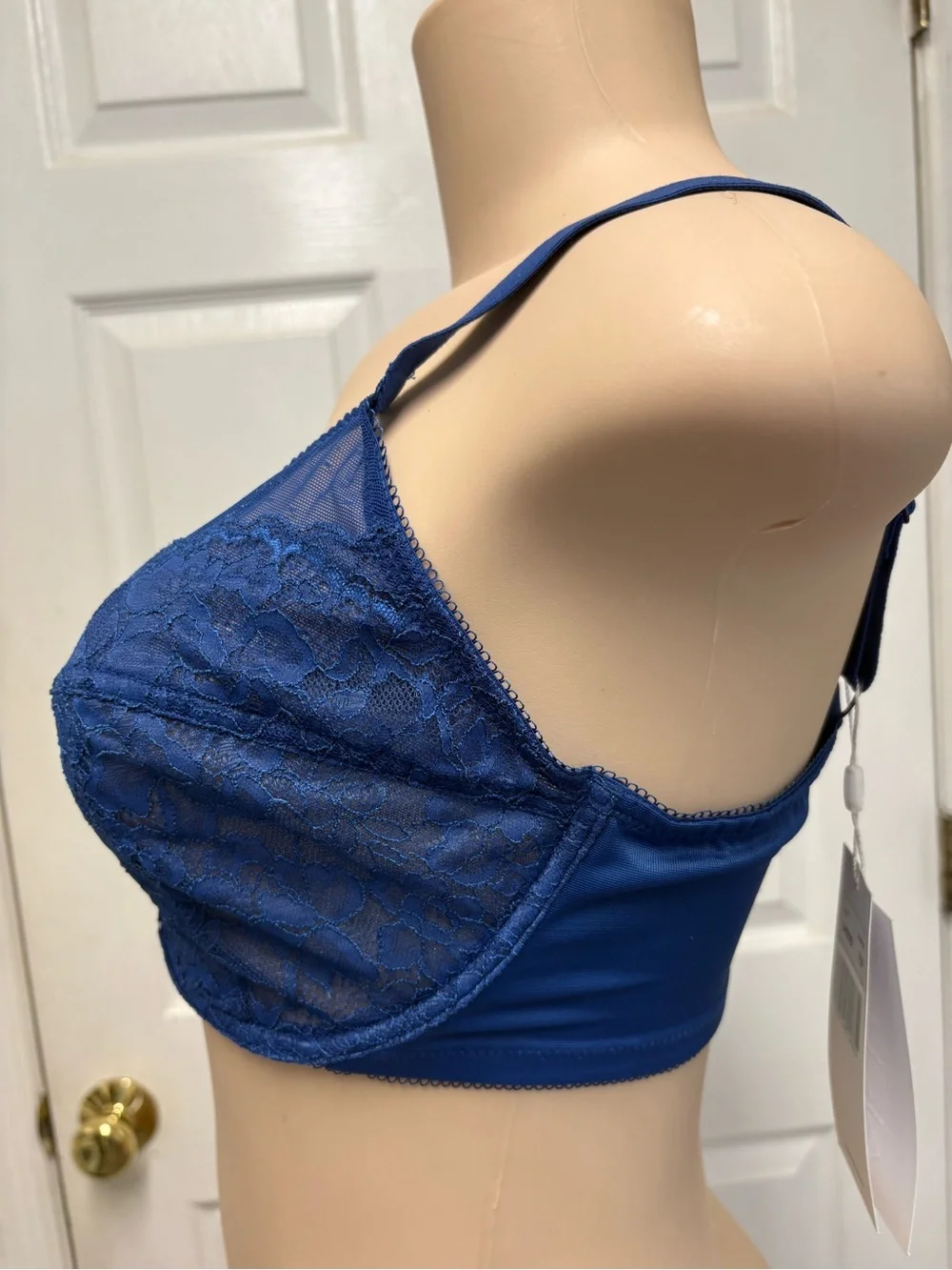 NWT HSIA 34DDD 75F Blue Floral Lace Underwire Bra Unlined Sheer Lingerie